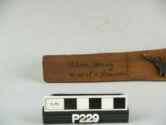 Image P229 Tattoo Pattern Collections Penn Museum