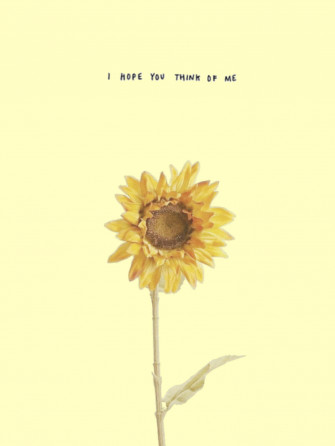 Lonely Sunflower Yellow Aesthetic Wallpaper