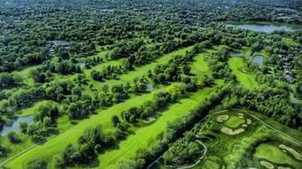Wallpaper Trees From The Top Beautifully