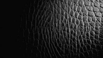 Reptile Crocodile Leather Texture Goodwp Other Wallpaper