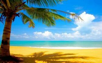 Sceneries Wallpaper Background Paos Image And Pictures For