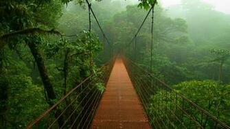 Sim Dep On Xem Phong Thuy So Dien Thoai Monteverde Cloud