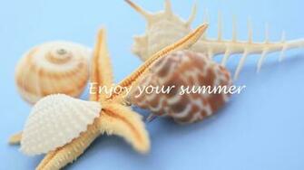 Seashells Wallpaper Collection Most Beautiful Places In