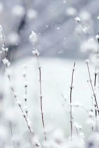 Snow iPhone 4s Wallpaper iPad