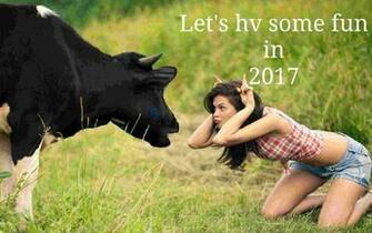 New Year Funny Image Wallpaper Photo Cards To Say Happy