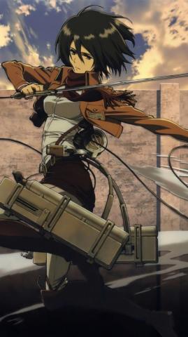 Mikasa Long Hair Wallpaper On