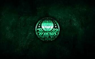 Sociedade Esportiva Palmeiras 4k Ultra HD Wallpaper Background