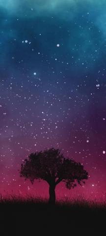 Tree Alone Night Wallpaper