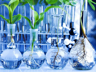 Biology Wallpaper You Fucking Scared Xobius E Google