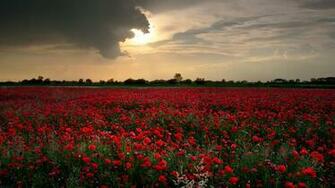 Vargovicphoto Wallpaper Fine Art Photography