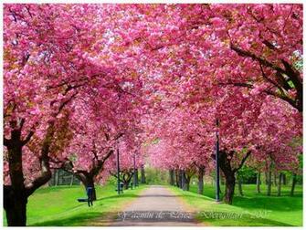 Spring Photo