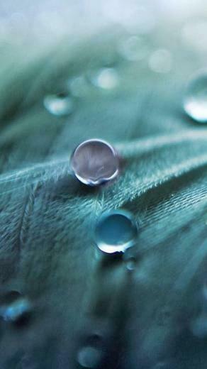 Dark Teal HD Wallpaper For Android