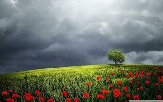 Summer Storm Wallpaper At Wallpaperbro