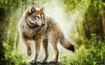 Gray Wolf Wallpaper Fsx52 HDq Cover For