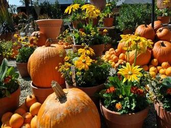 Halloween Desktop Wallpaper Great World