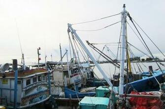 Fishing Boats Wallpaper