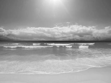 Black And White Wallpaper Beach Landscape HD