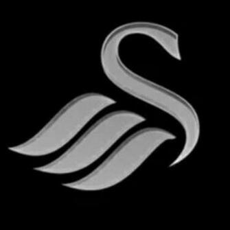 Beautiful Letter S Wallpaper HD Swansea City Logo White