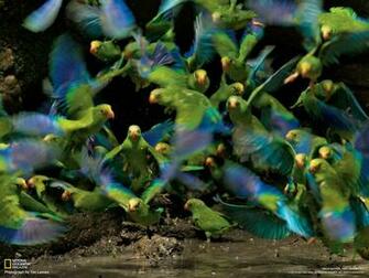 National Geographic Magazine Ngm