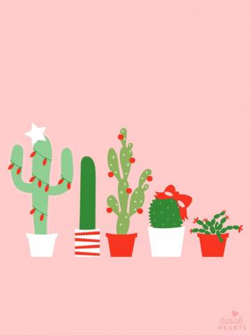 December Christmas Cactus Calendar Wallpaper Sarah Hearts