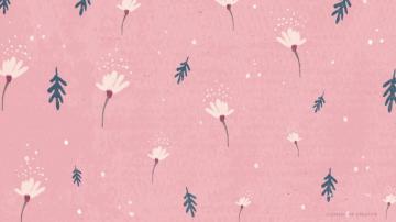 Pink Background For Desktop Pictures