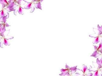 Floral Border On Blank Lots Of Copyspace Not