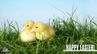 Easter Screensavers Wallpaper High Definition