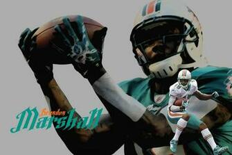 Brandon Marshall Wallpaper