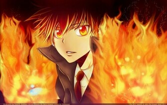 Katekyo Hitman Reborn Tsuana Flame Anime HD Wallpaper Desktop Pc