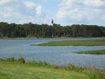 Chincoteague National Wildlife Refuge Wikipedia