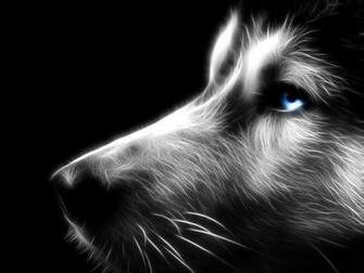 Wolf S Face Little Wallpaper By Hardii
