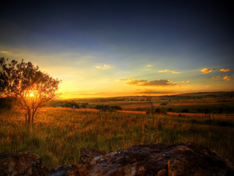 Serene Early Spring Wallpaper The Taxes Are Too Damn High