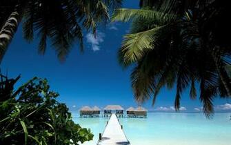 Tropical Paradise Maldives Beach House Palms Wallpaper High