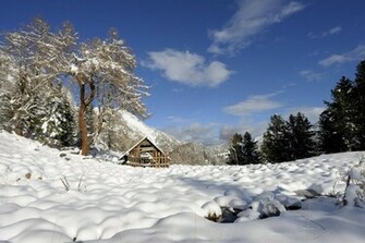 Nice Winter Wallpaper HD