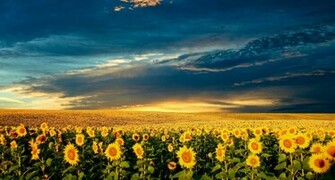 Desktop HD Wallpaper Amazing Nature 1080p