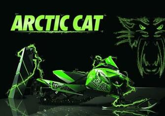 Charge The Cat