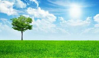 Mustified Earth Day Wallpaper For Your Desktop