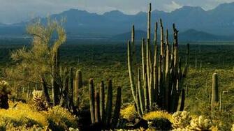 Landscape Arizona Wallpaper And Image Pictures Photos