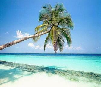 Image Gallery Nature Screensaver Tropical Islands
