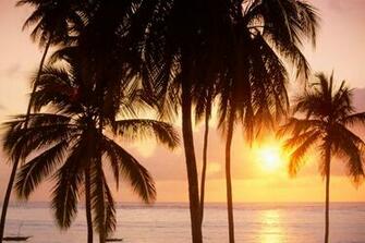 Wallpaper Picture Sunset Photo