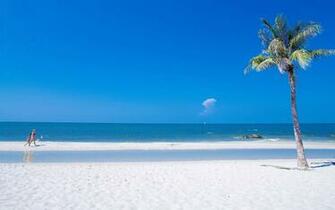 Summer Desktop Wallpaper Background HD Net