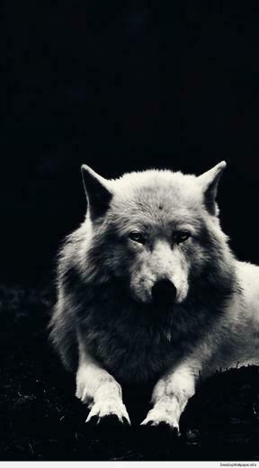 Black Werewolf Wallpaper