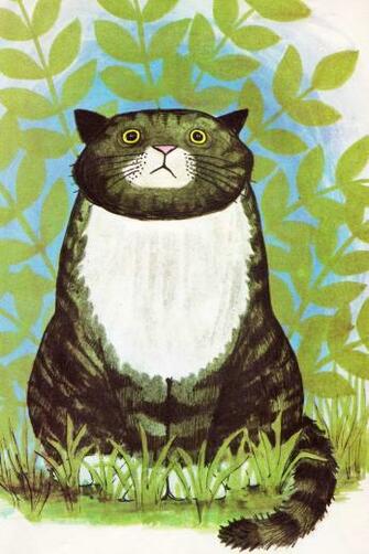 Cats Image Mog The Cat HD Wallpaper And Background Photos