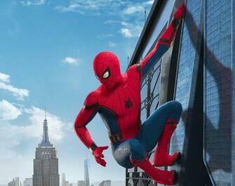 Tom Holland HD Wallpaper Background Image