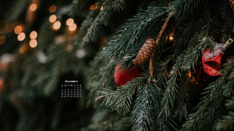 December Wallpaper Bies For Desktop Phones