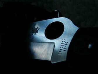 File Spyderco Endura Jpg