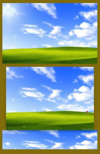 Windows Wallpaper