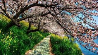Spring Desktop Wallpaper