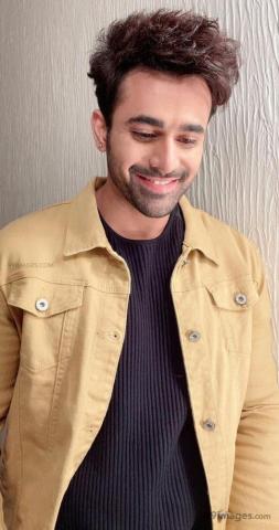 Pearl V Puri HD Wallpaper Desktop Background Android