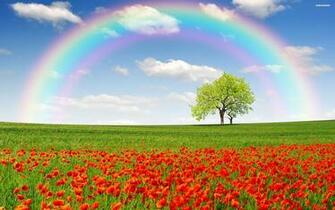 Rainbow Natural Wallpaper HD Background Screensavers